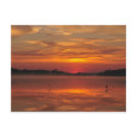 Precious morning - Rinyaszentkiraly, Hungary 2008 postcard