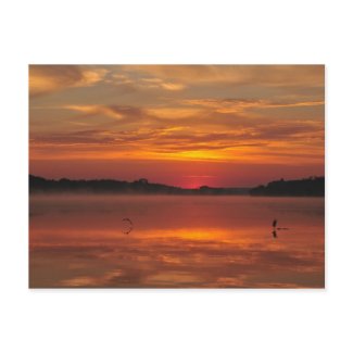 Precious morning - Rinyaszentkiraly, Hungary 2008 postcard