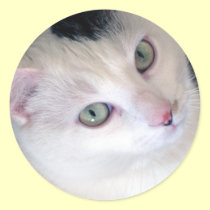 Precious One stickers