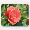Precious Pink Rose mousepads by DoodleBugTees Precious Pink Rose mousepads