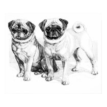 Precious Pugs Black and White Illustration Poster posters