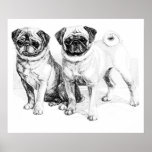Precious Pugs Black and White Illustration Poster
