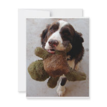 Precious Puppy invitations