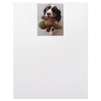 Precious Puppy letterhead