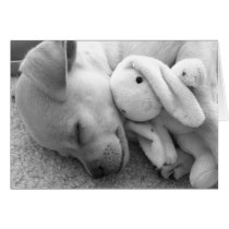 PRECIOUS PUPPY MOMENT GREETING CARDS