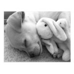 PRECIOUS PUPPY MOMENT POST CARD