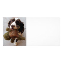 Precious Puppy photo cards