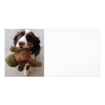 Precious Puppy photo cards