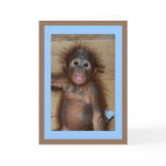 Precious Smiling Baby Orangutan Card