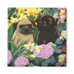 Precious Spring Pugs Magnets
