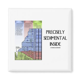 Precisely Sedimental Inside (Grand Canyon) magnet