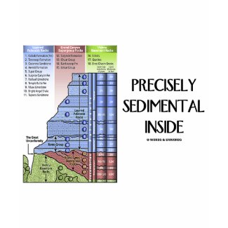 Precisely Sedimental Inside (Grand Canyon) shirt
