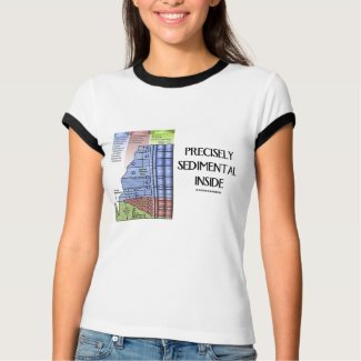 Precisely Sedimental Inside (Grand Canyon) shirt