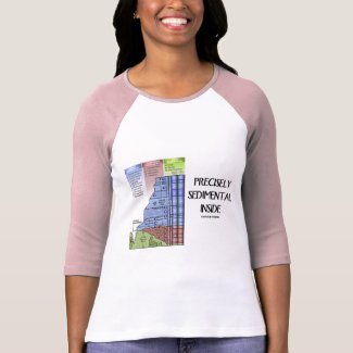 Precisely Sedimental Inside (Grand Canyon) shirt