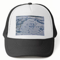 Predator/Prey Activity hats