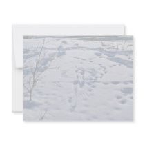 Predator/Prey Activity invitations by animalpark Predator/Prey Activity invitations