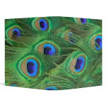 Preening Peacock Binder
