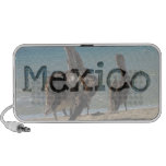 Preening Pelican; Mexico Souvenir iPod Speaker