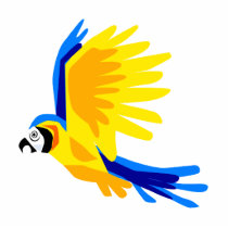 Preeti Parrot Photo Sculpture