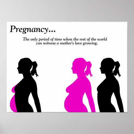 pregnancy-poster-zazzle