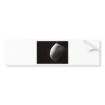 Pregnant Bump Bumper Sticker
