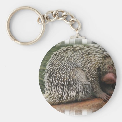 Prehensile-Tailed Porcupine Keychain