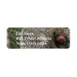Prehensile-Tailed Porcupine Mailing Label