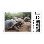 Prehistoric Giants Stamp