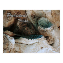 Prehistoric Texas postcard