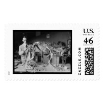 Preparing a Baby Dinosaur Skeleton 1921 Postage Stamps