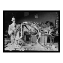 Preparing a Baby Dinosaur Skeleton 1921 posters by lc_vintagephotos Preparing a Baby Dinosaur Skeleton 1921 posters