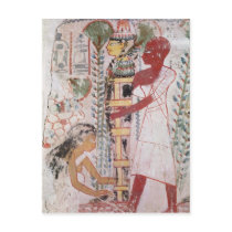 Preparing a mummy for a purification ceremony postcards