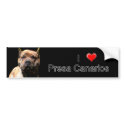 Presa Canario bumper sticker bumper stickers by ritmoboxer Presa Canario bumper sticker bumper stickers