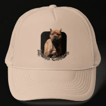Presa Canario hat