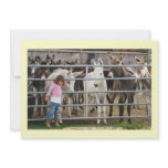 Preschool Girl and Burros - Birthday Party Custom Invitation