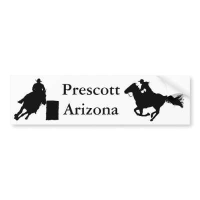 Arizona Rodeo