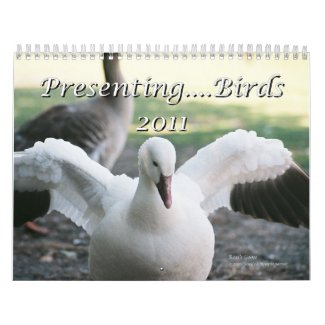 Presenting....Birds 2011 calendar