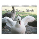 Presenting....Birds 2011 Calendar