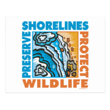 Preserve Shorelines - Protect Wildife Post Card
