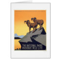 Preserve Wild Life 1939 WPA cards