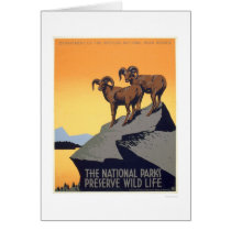 Preserve Wild Life 1939 WPA cards