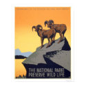 Preserve Wild Life 1939 WPA posters