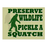 Preserve wildlife pickle a squatch postcard