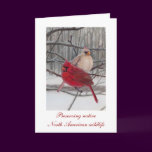 Preserving Wildlife Holiday Card