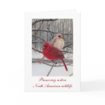 Preserving Wildlife Holiday Card