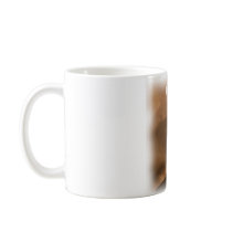 President Barack Hussein Obama mugs