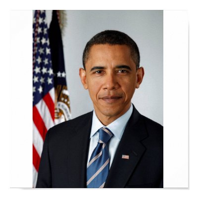 President Obama, Official Portrait Posters by obamaportrait