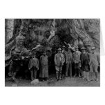 President Roosevelt and John Muir California 1903 Greeting Card