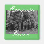 President Roosevelt and John Muir California 1903 Refrigerator Magnets