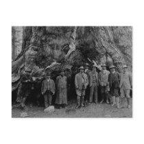 President Roosevelt and John Muir California 1903 Post Card